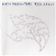 Dirty Projectors - Rise Above